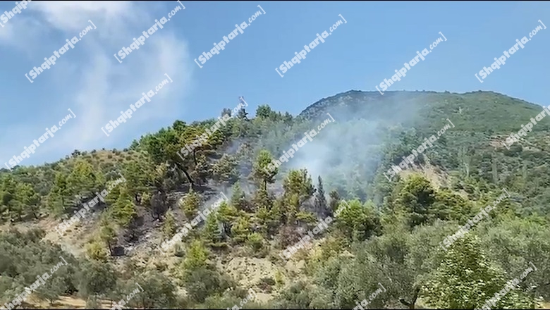 Elbasan, ndezën zjarr në tokat e tyre dhe u doli jashtë kontrollit, nën hetim 2 zjarrvënës