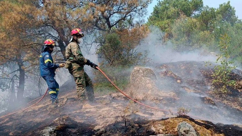 Zjarret në Greqi, 18 emigrantë gjenden të djegur në pyllin e Dadias! Dyshohet të kenë hyrë ilegalisht në Greqi