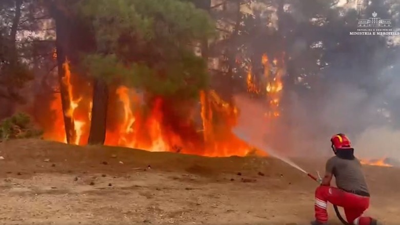 FOTO + VIDEO/ Greqi, zjarrfikësit shqiptarë krah atyre grekë në luftë me flakët në Alexandroupoli