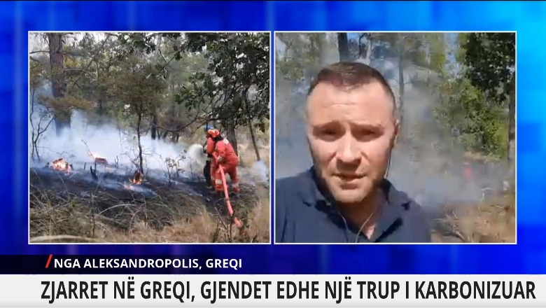 Zjarret në Alexandroupoli, Koordinatori i Agjencisë së Mbrojtjes Shqiptare për Report TV: Krah Greqisë sa të kenë nevojë! Po digjet sipërfaqe e madhe 