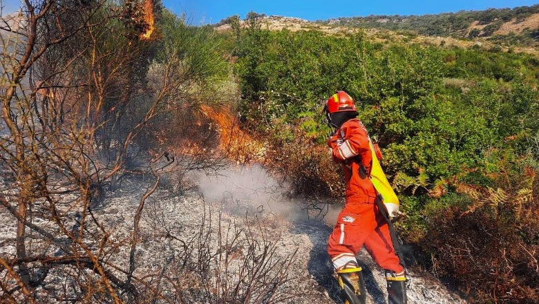 Zjarri në malin e Shpiragut, Peleshi: Situata është nën kontroll
