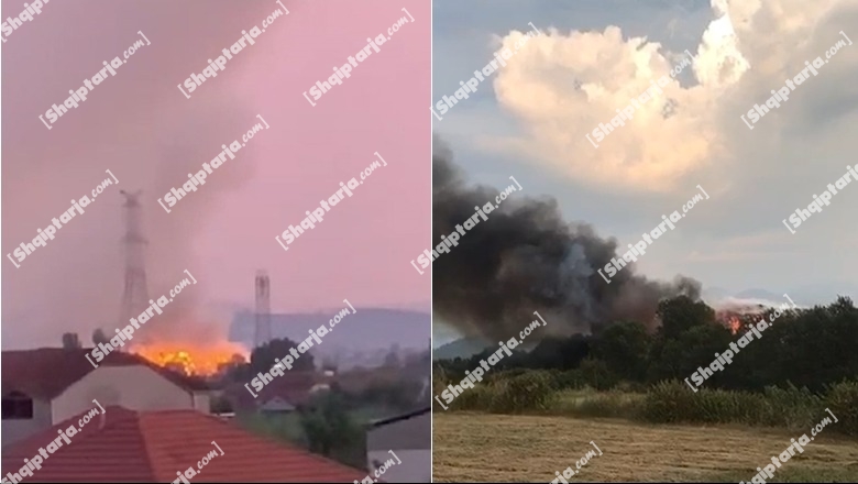 VIDEO/ Zjarr te pika e grumbullimit të plehrave pranë inceneratorit të Elbasanit! I vihet flaka edhe landfillit të Fierit, fiket në kohë! Policia i merr në mbrojtje