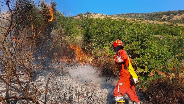 Situata me zjarret në vend, 15 vatra janë shuar gjatë 24 orëve të fundit! Në Fushë Krujë dhe Elbasan vijon ‘beteja’ me flakët