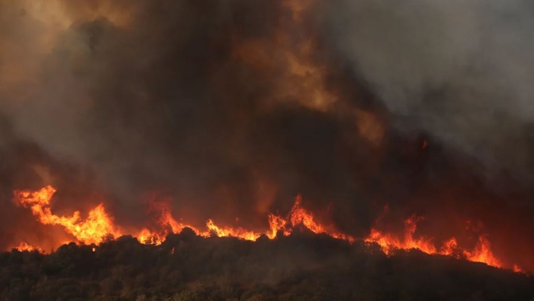 Zjarret në Greqi! Situatë katastrofike në Evia, evakuohen disa disa fshatra! Arrestohet piromani 20-vjeçar: Më pëlqen kur shuhen flakët  
