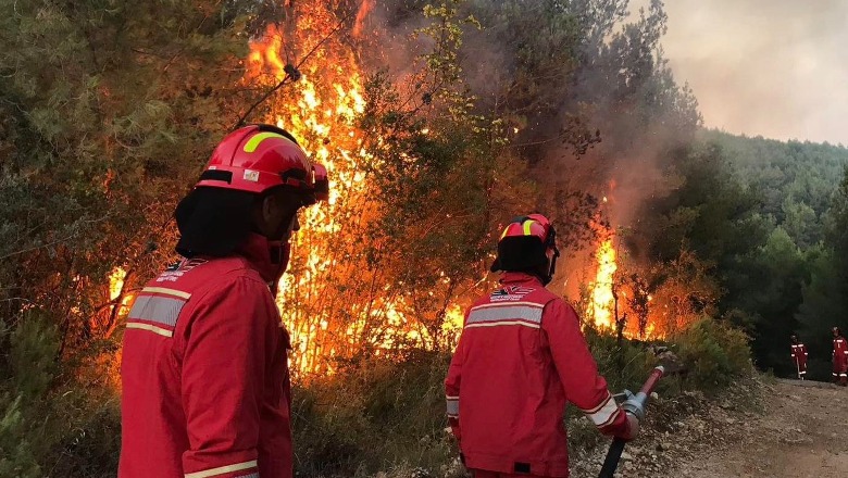 Zjarri në inceneratorin e Elbasanit, Kushi: Falenderime për punonjësit e zjarrfikësve që ‘luftuan’ me flakët 