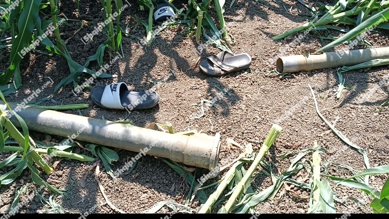 Divjakë/ Preku telat elektrikë me tubin e vaditjes, ndërron jetë 31 vjeçari në fshatin Biçukas, ishte duke ujitur misrin