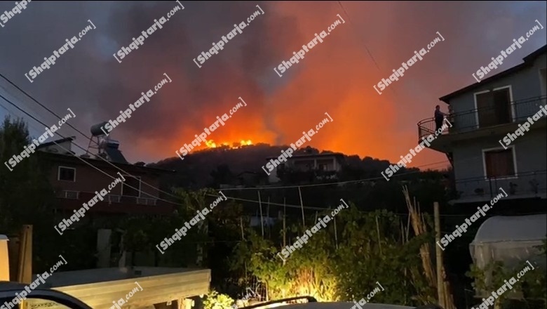 VIDEO/ Zjarr në kodrat me ullinj të fshatit Zhamë në Lushnjë, arrestohet për zjarrvënie 58-vjeçari! Nesër pritet ndërhyrja e helikopterit