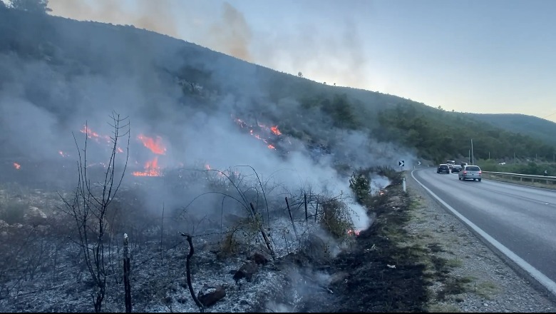 Bilanci i zjarreve në Lezhë, gjatë verës u shkrumbuan 150 hektarë pyje! Dëmet më të mëdha në Laç