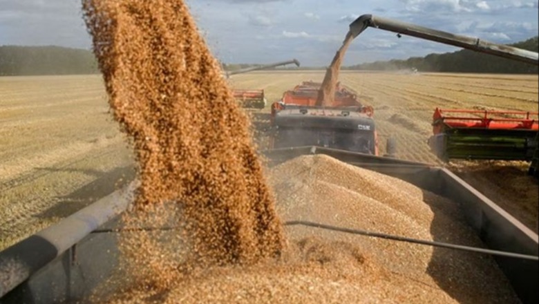 Bullgaria revokon ndalimin e importeve të grurit ukrainas