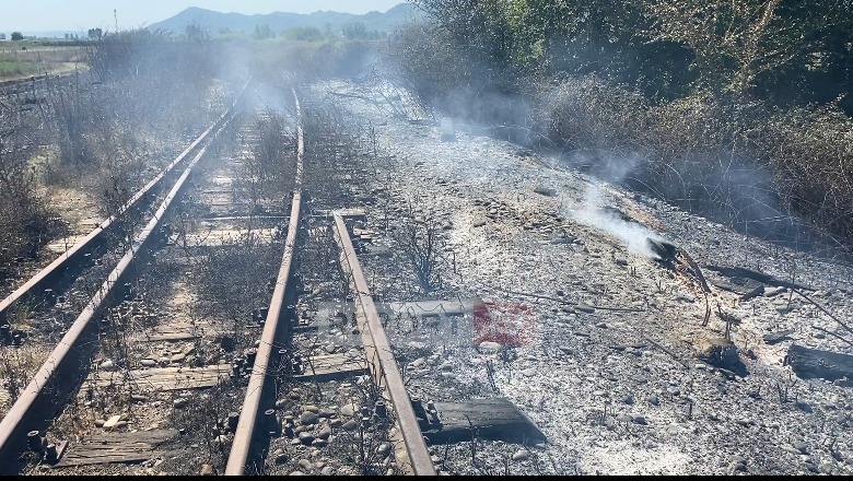VIDEO/ Fushë Krujë, i vihet zjarri linjës së hekurudhës Shkodër-Vorë! Qëllim vjedhja e shinave