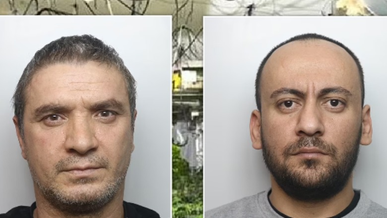 Paguan 6 mijë euro për të shkuar në Angli, përfundojnë vaditës kanabisi në shtëpi bari! Dy shqiptarë dënohen me 2 vjet burg 