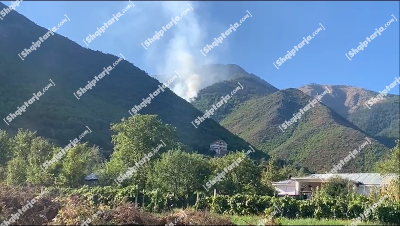 VIDEO/ Zjarr në Koçaj të Bulqizës, digjen dhjetëra hektarë pyje e kullota! Zjarrfikësit e kanë të pamundur ndërhyrjen, kërkohet helikopter