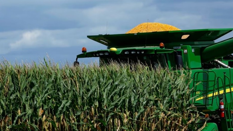 Thatësira dhe pasiguria rreth grurit ukrainas, shqetësim për fermerët amerikanë