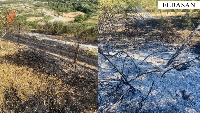 Ndezi zjarr për të djegur mbeturinat por flakët arritën tek tokat e fqinjëve, arrestohet 67-vjeçari në Elbasan