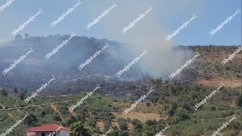 VIDEO/ Zjarr në kodrat e Vajkanit në Fier, digjen shkurre e rrënjë ulliri