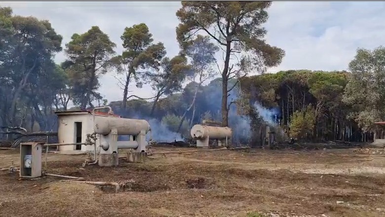 Të moshuarit që vënë zjarre, shkaktarë të 9 vatrave në Fier! Dogjën qindra ha pyje dhe të mbjella dhe rrezikuan puset e naftës së Albpetrolit