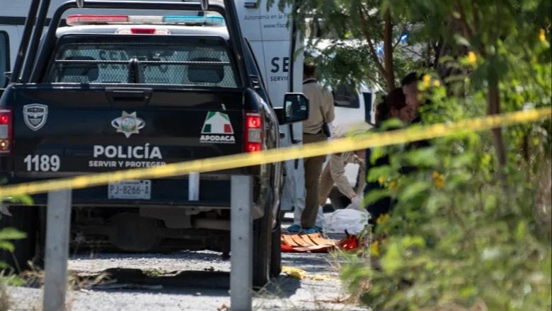 ‘Mosmarrëveshje e brendshme brenda një organizate kriminale’, gjenden trupat e copëtuar të 12 personave në Meksikë