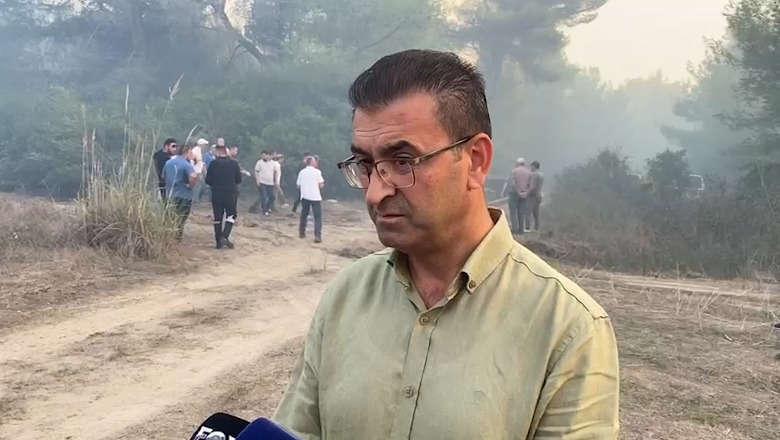 Vijon ende zjarri në zonën e mbrojtur të Pishporos, prefekti: Është siguruar mbrojtja e banesave