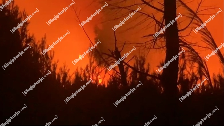 Prej 6 ditësh në flakë, vijon ‘beteja’ me zjarrin në pyllin e Pishporos në Fier! Vihen nën kontroll 4 vatra të rrezikshme, disa të tjera ende aktive 