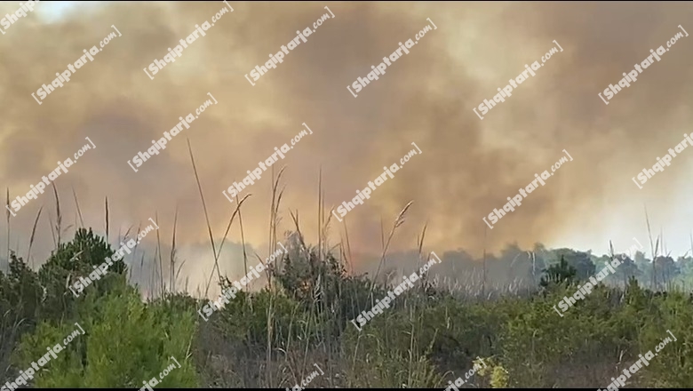 VIDEO/ Përkeqësohet situata në Darëzezë, zjarrfikëse nga 4 bashki po punojnë për shuarjen e flakëve