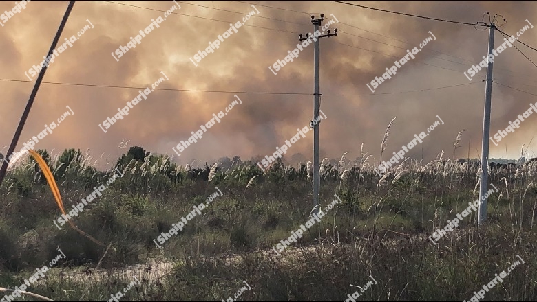 Prej 6 ditësh në flakë, vijon ‘beteja’ me zjarrin në pyllin e Pishporos në Fier! Përkeqësohet situata në Darëzezë