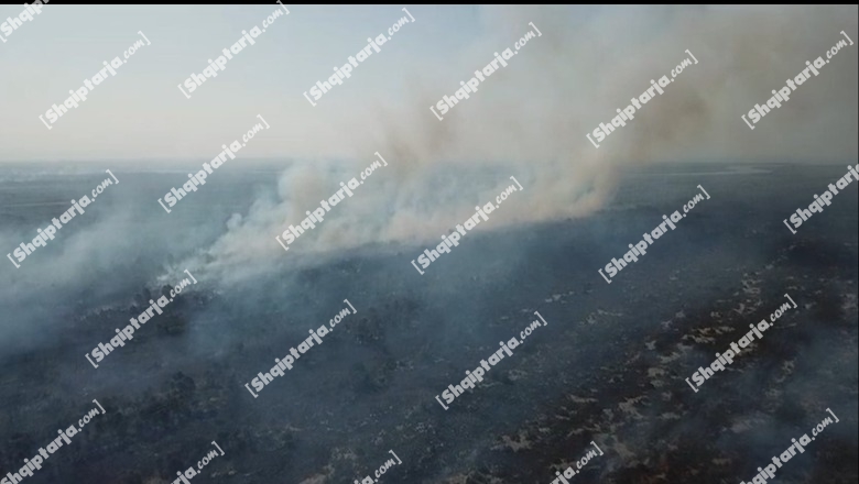 Pamjet me dron/ 7 ditë në ‘pushtetin’ e flakëve, zjarri në masivin pyjor të Pishporos dhe Darëzezës në Fier shkakton një katastrofë mjedisore