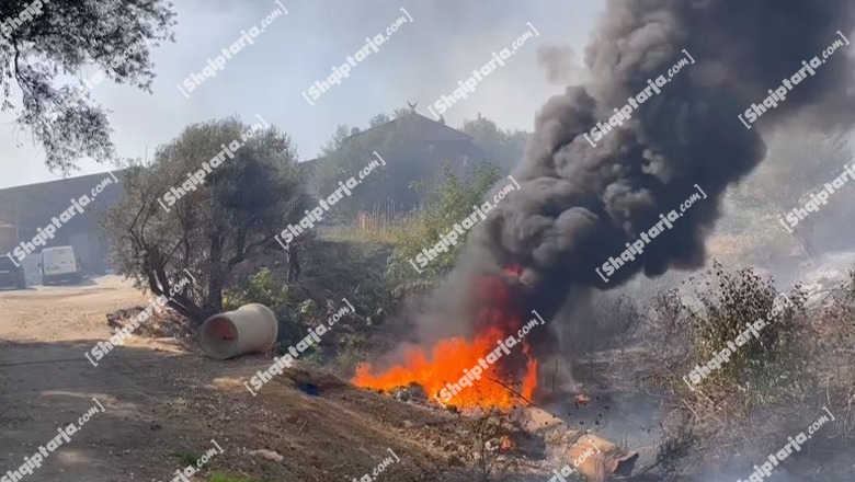Pyjet e Pishporos në Fier prej 8 ditësh në flakë, avioni grek dhe qindra ushtarë e zjarrfikës po punojnë për shuarjen e zjarrit