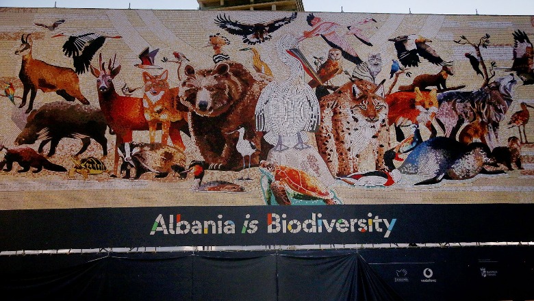 ‘Shqipëria është Biodiversitet’, instalacion në sheshin ‘Skënderbej’ me specie unike të Shqipërisë