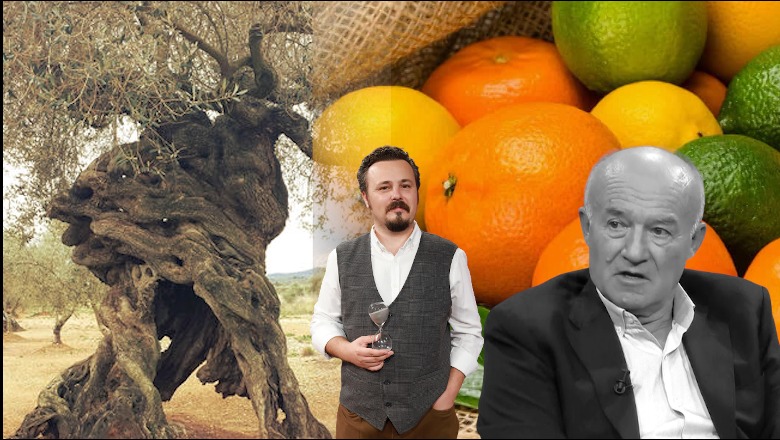 Me ullinj dhe agrume, ja si e mbollëm Shqipërinë! Shkencëtari tregon në 'Esencë':  Nga Zogu trashëguam 1.8 milionë rrënjë! Eshtë shkëmbyer edhe me flori