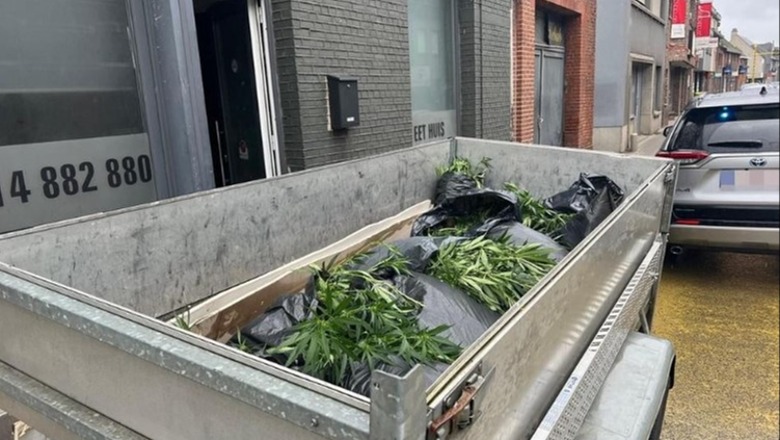 Belgjikë, kultivuan qindra bimë kanabis në një qebabtore, arrestohen dy shqiptarë
