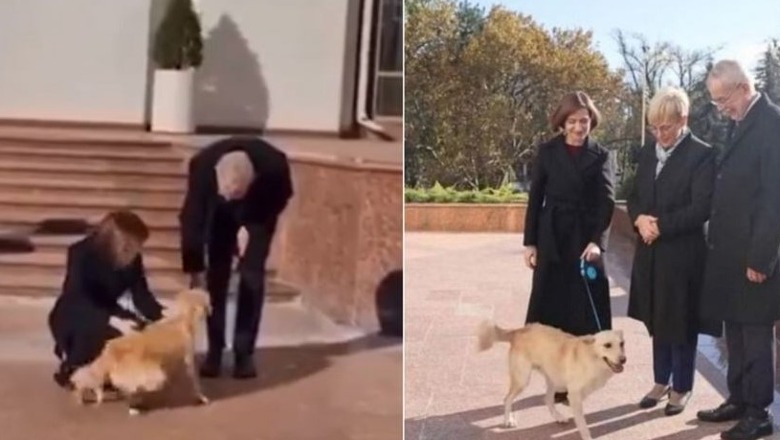 VIDEO/ Presidenti austriak kafshohet nga qeni i homologes moldave