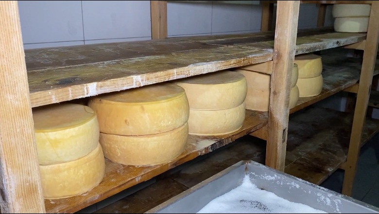 Shtrenjtohet djathi në Korçë, qytetarët blejnë më pak! Kaçkavalli me 1600 lek/kg