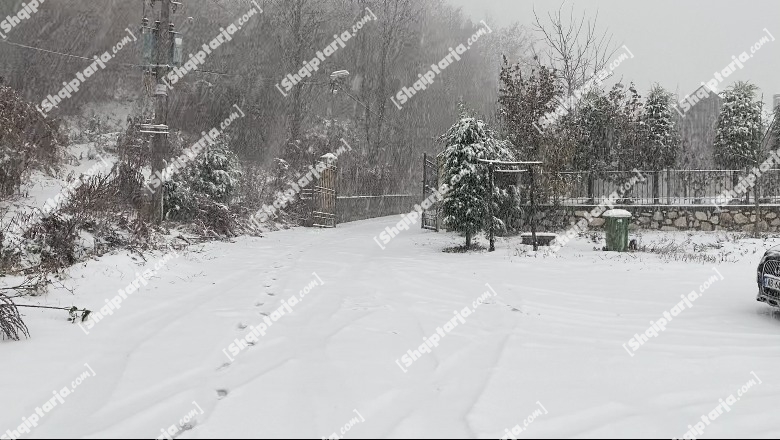 VIDEO/ Reshjet e dëborës, fshatrat turistikë të Librazhdit mbulohen nga ‘velloja e bardhë’