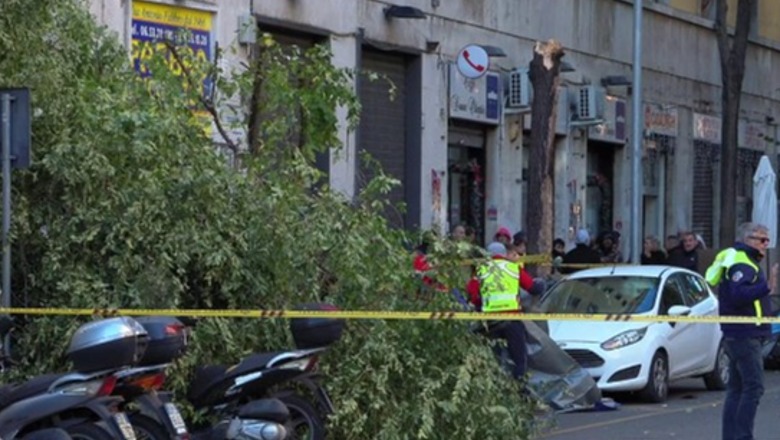 Erëra të forta në të gjithë Italinë! Degët e pemës u thyen dhe u ranë në kokë, humb jetën 82-vjeçarja dhe plagosen dy gra