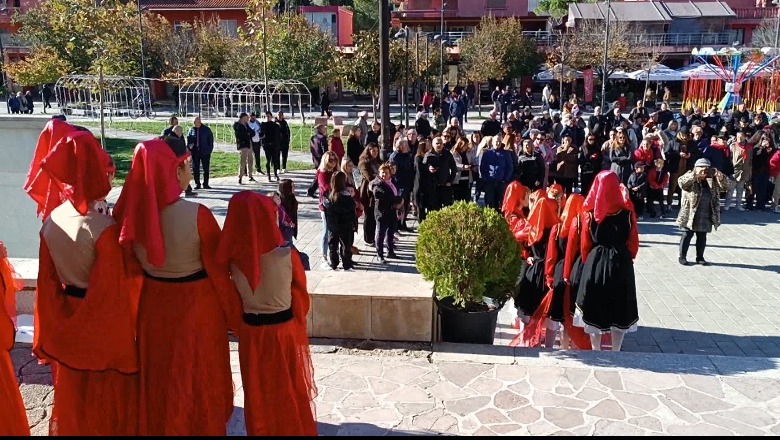 VIDEO/Lushnjë, përkujtohet Dita e Ngritjes së Flamurit