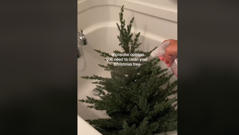 Gruaja lan në vaskë pemën e Krishtlindjeve, videoja virale dhe po nxit debate: Po ju a e pastroni?