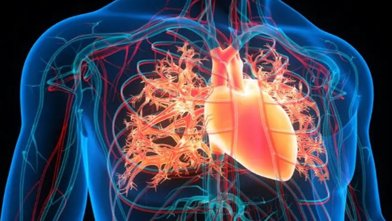Inteligjenca Artificiale  mund të parashikojë infarktet e zemrës