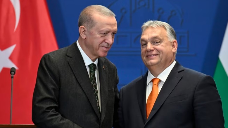 Turqi, përpjekjet e Presidentit Erdogan për të marrë një rol udhëheqës në rajon
