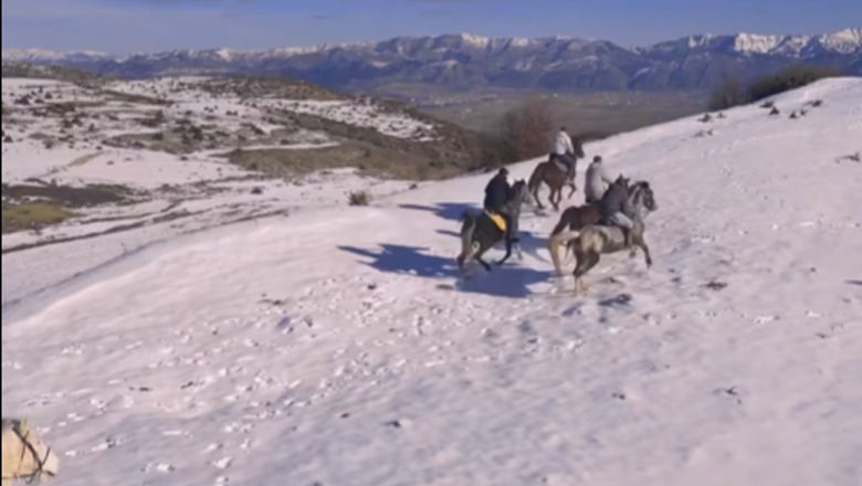 Pamjet/ Shëtitje me kuaj maleve me borë në Korçë, Rama: Magjepsëse e dinamike