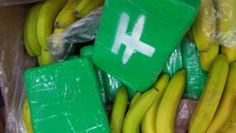 Trafikuan kokainë nga Amerika Latine drejt Evropës përmes arkave me banane, 3 të arrestuar në Çeki, mes tyre një shqiptar