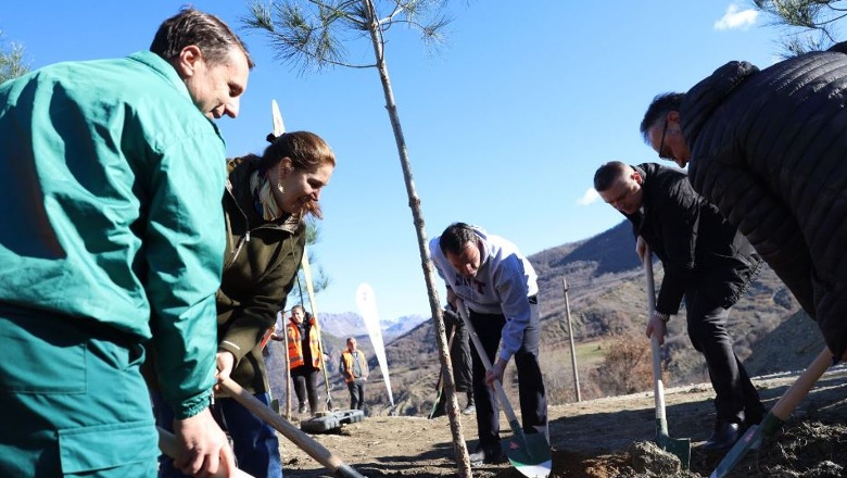 101-vjetori i shërbimit pyjor, mbillen pemë në Shëngjergj, Veliaj: Praktika mësimore te botaniku për studentët e UBT-së