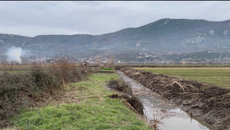 Tokat në Lezhë pa ujë, kanalet vaditëse u shkatërruan! Drejtori i Bujqësisë: Vetëm 30% e tokave vaditen në verë