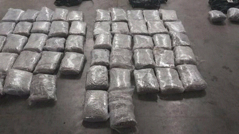 Gjenden 57 kilogramë marijuanë buzë liqenit të Shkodrës nga policia malazeze