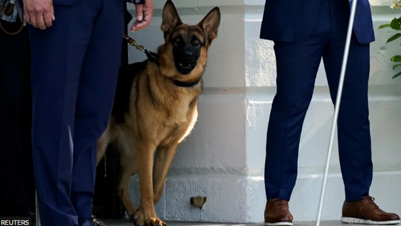 Qeni i Biden kafshoi agjentët e Shërbimit Sekret të paktën 24 herë