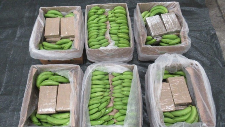 Kapet sasi rekord droge në Britaninë e Madhe, u gjet e fshehur në paleta bananesh