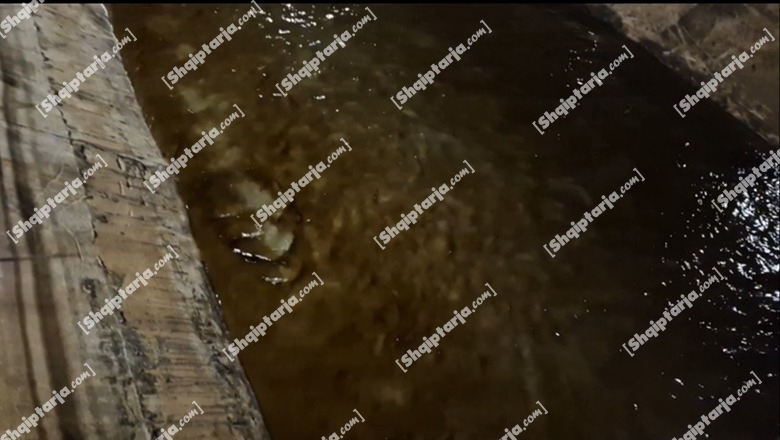 Fier/ Lumi Gjanica ndotet sërish nga derdhja e naftës bruto (VIDEO)