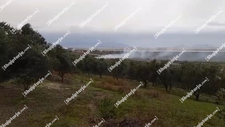 Vlorë/ Zjarr në fshatin Mifol, era favorizon flakët (VIDEO)