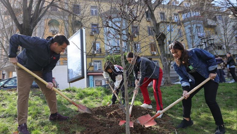 Nxënësit e shkollës 'Besnik Sykja' mbjellin pemë buzë Lanës, Veliaj: Ftoj të gjithë qytetarët që të japin kontributin e tyre për një Tiranë më të gjelbër
