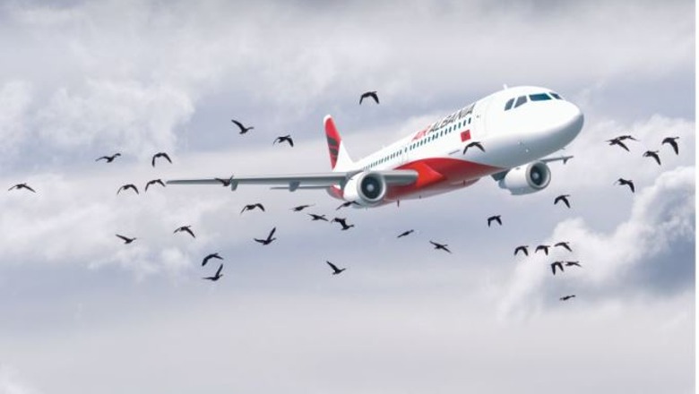 Air Albania nis nga prilli fluturimet në Ankara e Izmir! Rihap dhe fluturimet në Bolonja, Pisa e Verona  