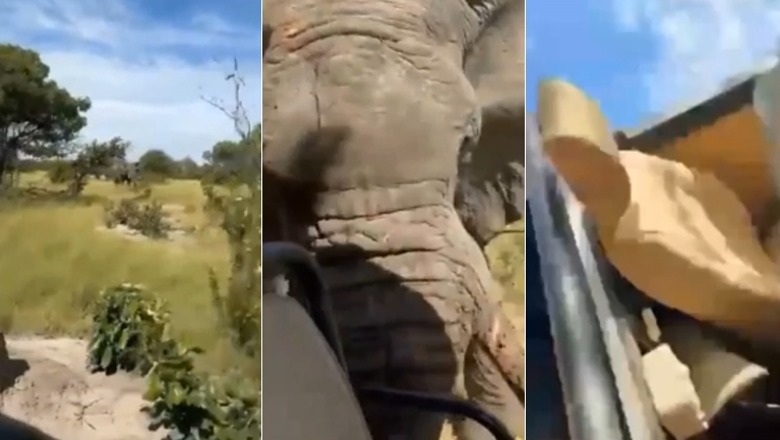 Elefanti sulmon makinën me 6 turistë në bord, një grua humb jetën! Shikoni videon 